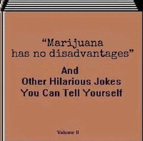 “Marijuana has no disadvantages” And Other Hilarious Jokes You Can Tell Yourself Volume И