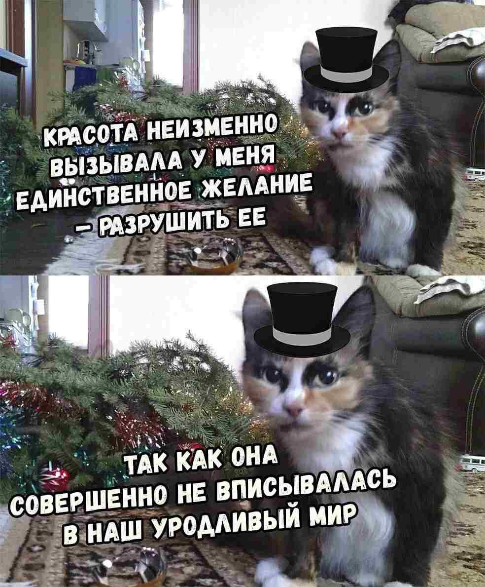 РАССТА НЕИЗМЕННО ВЫЗЫВАЛА У ЕДИНСТВЕННОЕ ЖЕЛАНИЕ РАЗРУШИТЬ ТАККАК ОНА СОВЕРШЕННО НЕ ВПИСЫВАЛАСЬ В НАШ УРОДАИВЫЙ МИР