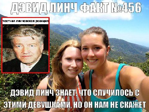 честная линчевская реакция $7 „ДЭВИД SHAET HAM HE СКАЖЕТ