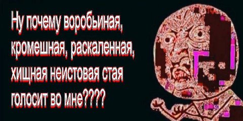 Ну почему воробъиная кромешная, стая МНЕ? 777