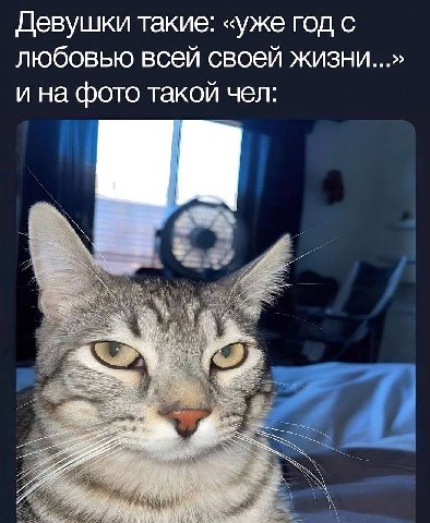 Девушки такие: «уже год с любовью всей своей жизни и на фото такой чел: