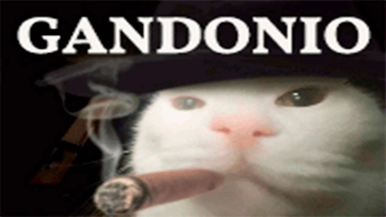 GANDONTO