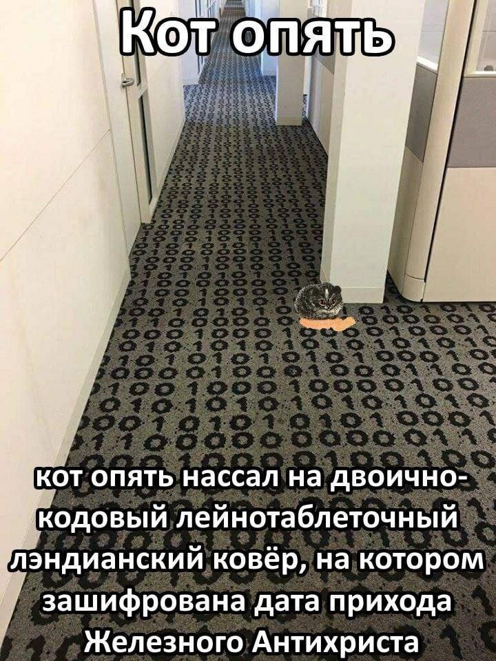 |кот опять нассал на двоично- кодовый лейнотаблеточный ковёр, на котором зашифрована дата прихода Железного Антихриста
