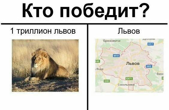 Кто победит” 1 триллион львов Львов брюховичи 2 7 7 у Львов 5 Сокольмикй 3