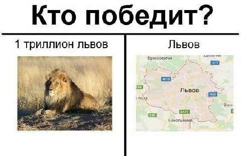 Кто победит” 1 триллион львов Львов брюховичи 2 7 7 у Львов 5 Сокольмикй 3