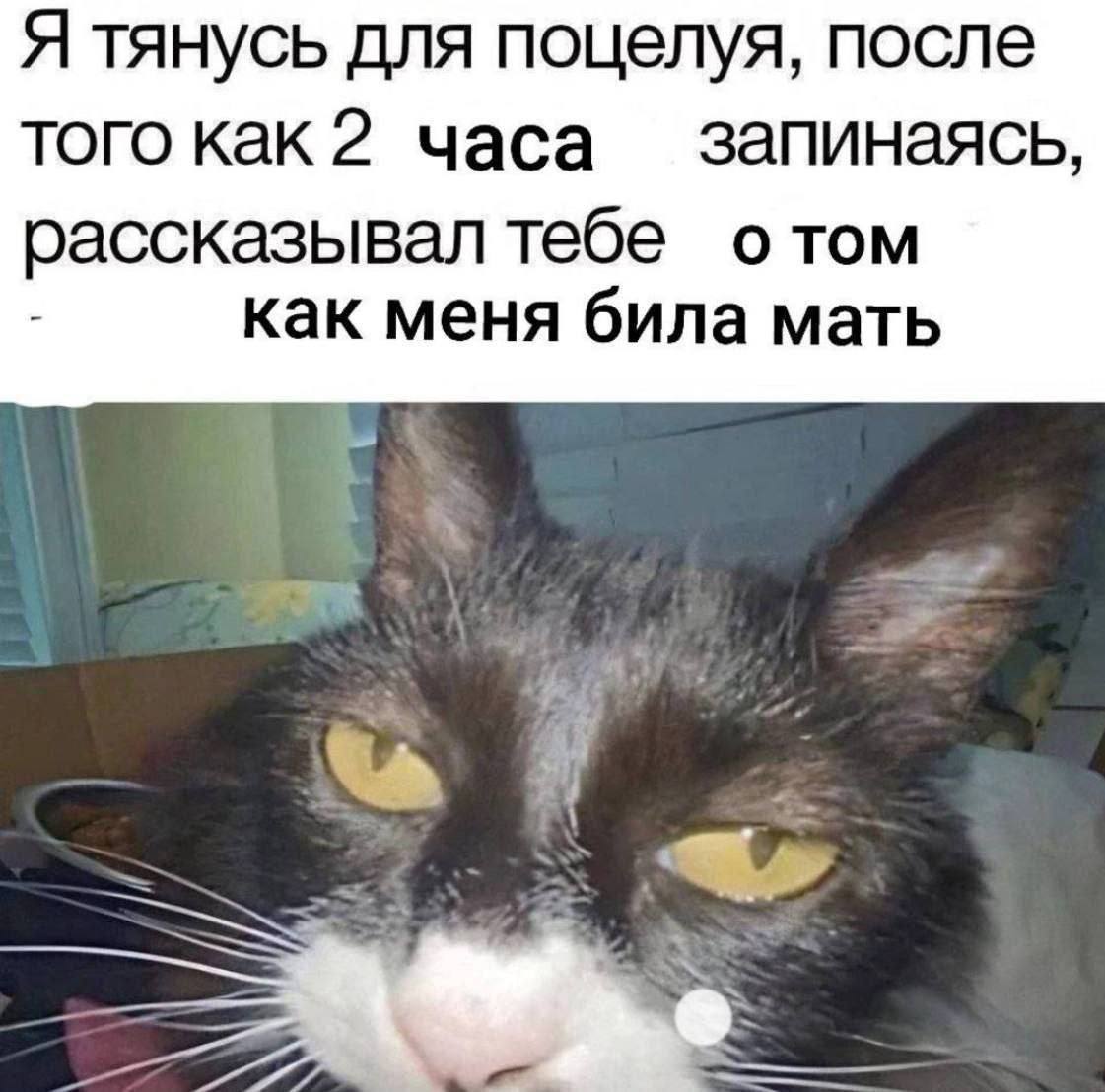 Я тянусь для поцелуя, после Toro как 2 часа запинаясь, рассказывал тебе отом как меня била мать