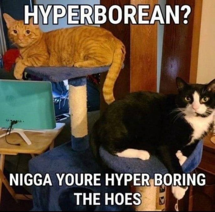 НУРЕВВОВЕАМ? NIGGA YOURE HYPER,BORING