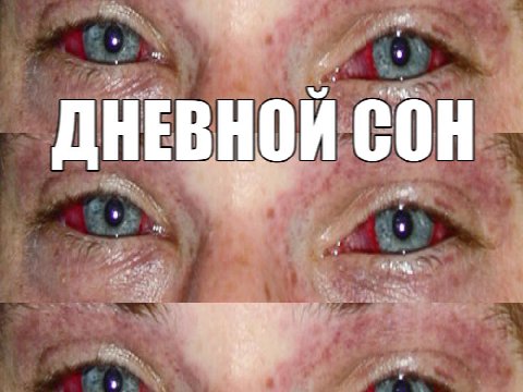 ДНЕВ