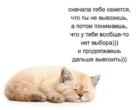сначала тебе кажется, что ты не вывозишь, а потом понимаешь, что у тебя вообще-то нет выбора))) и продолжаешь дальше вывозить)))
