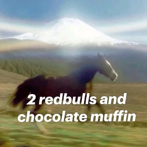 2 redbulls and chocolate muffin