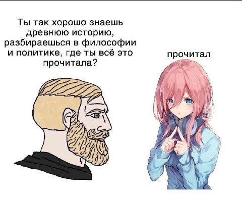 Ты так хорошо знаешь древнюю историю, разбираешься в философии и политике, где ты всё это прочитал прочитала? A