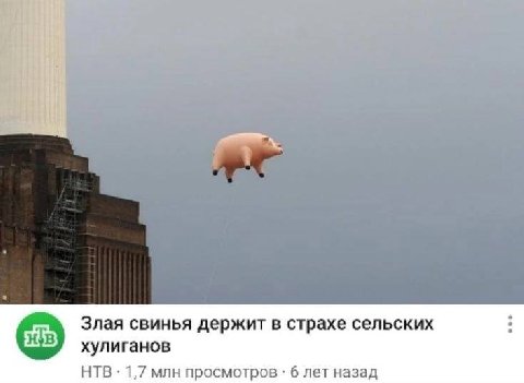 Злая свинья держит в страхе сельских хулиганов НТВ 1,7 млн просмотров 6 лет назад