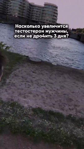 тестостерон мужчины, ~ если не дродить 3 дня? ` — Насколько _ 9 ЭТОГО МЫ НИКОГДА НЕ УЗНАЕМ!