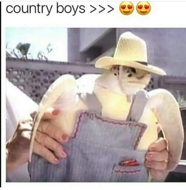 country boys