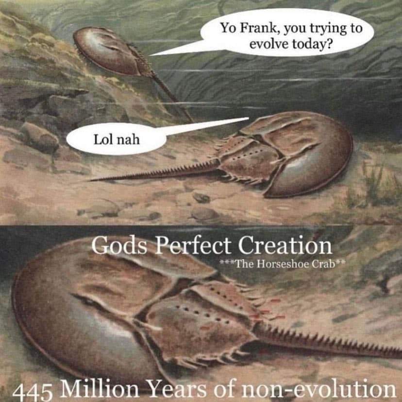 Frank, you trying to evolve today? Gods Perfect Creation Horseshoe 445 Million Years of non-evolution