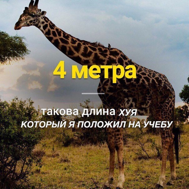 4 метра такова длина хуя КОТОРЫЙ Я ПОЛОЖИЛ НА УЧЕБУ