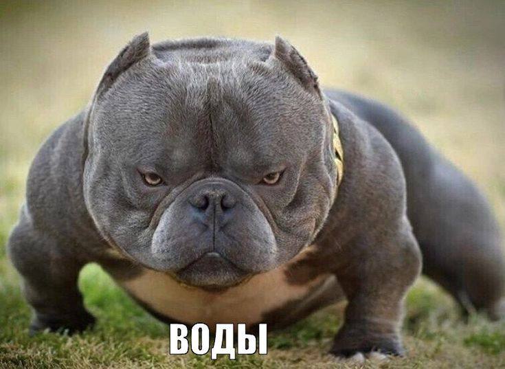 Во времена B2B AI SaaS стартапов я всегда буду