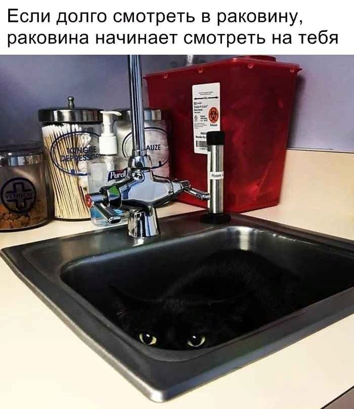 Если долго смотреть в раковину, раковина начинает смотреть на тебя <7