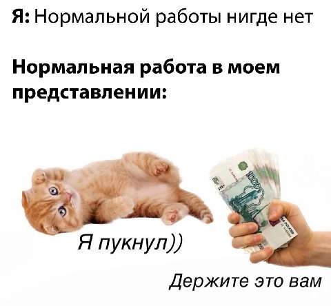 Я: Нормальной работы нигде нет Нормальная работа в моем представлении: 4 Я Я пукнул)) Держите это вам