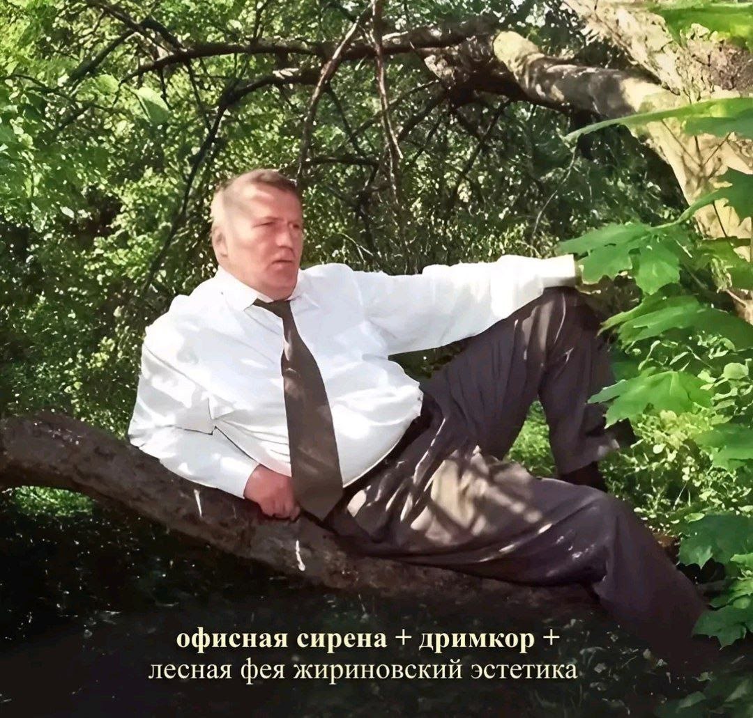 и офисная сирена дримкор лесная фея жириновский эстетика