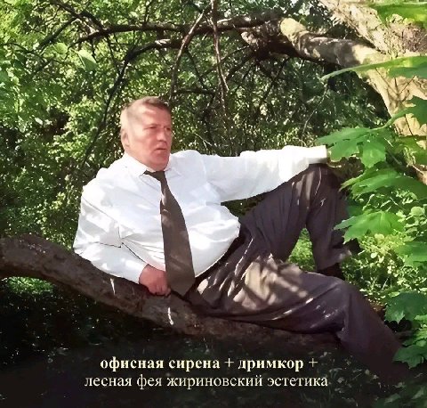 и офисная сирена дримкор лесная фея жириновский эстетика