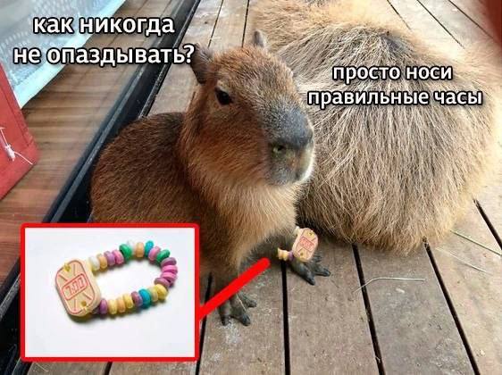 Sel КАК. не‘бпаздывать?` осто носи Key) 1 7. aS