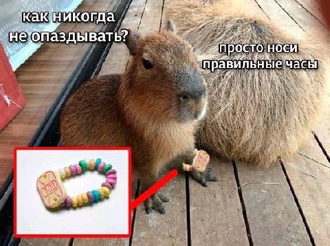 Sel КАК. не‘бпаздывать?` осто носи Key) 1 7. aS
