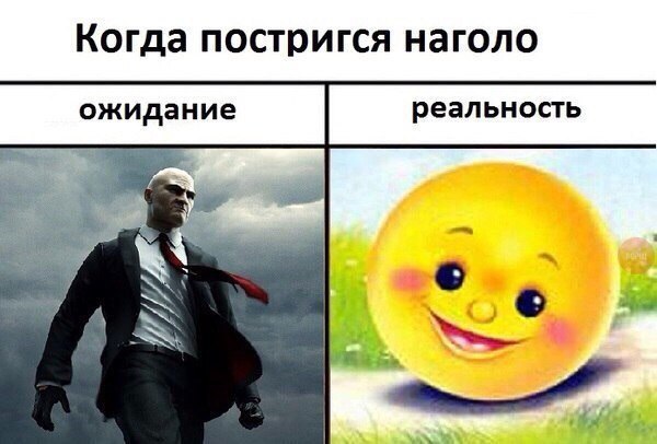 Когда постригся наголо ожидание реальность у