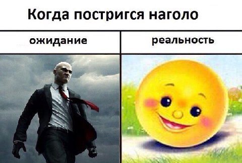 Когда постригся наголо ожидание реальность у