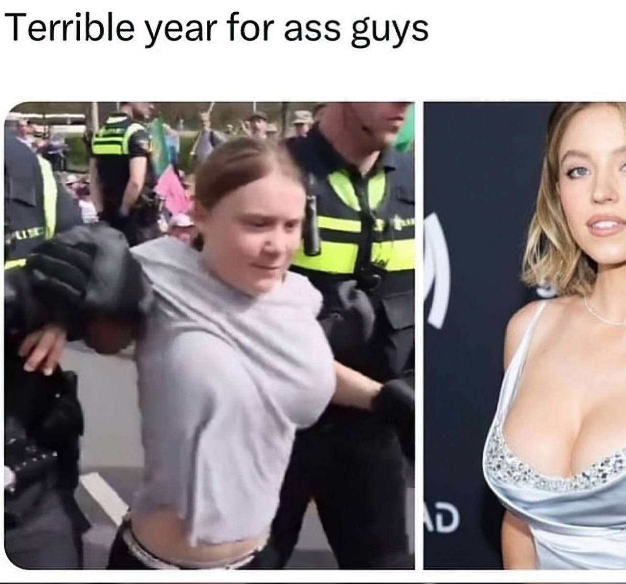 Terrible year for ass guys