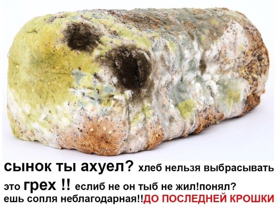 dat i сынок ты ахуел?? хлеб нельзя выбрасывать это Грех еслиб не он тыб не жил!понял? ешь сопля неблагодарная!!ДО ПОСЛЕДНЕИ КРОШКИ