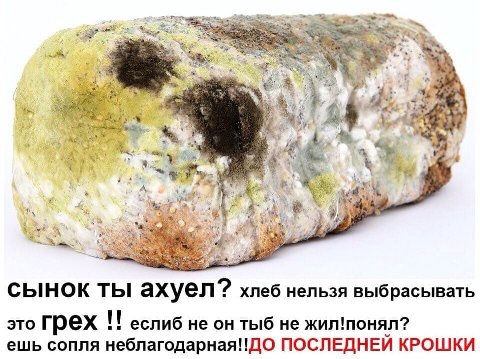 dat i сынок ты ахуел?? хлеб нельзя выбрасывать это Грех еслиб не он тыб не жил!понял? ешь сопля неблагодарная!!ДО ПОСЛЕДНЕИ КРОШКИ