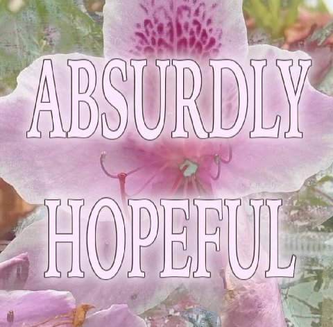 HOPE