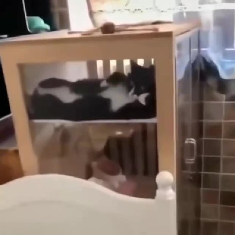 мем