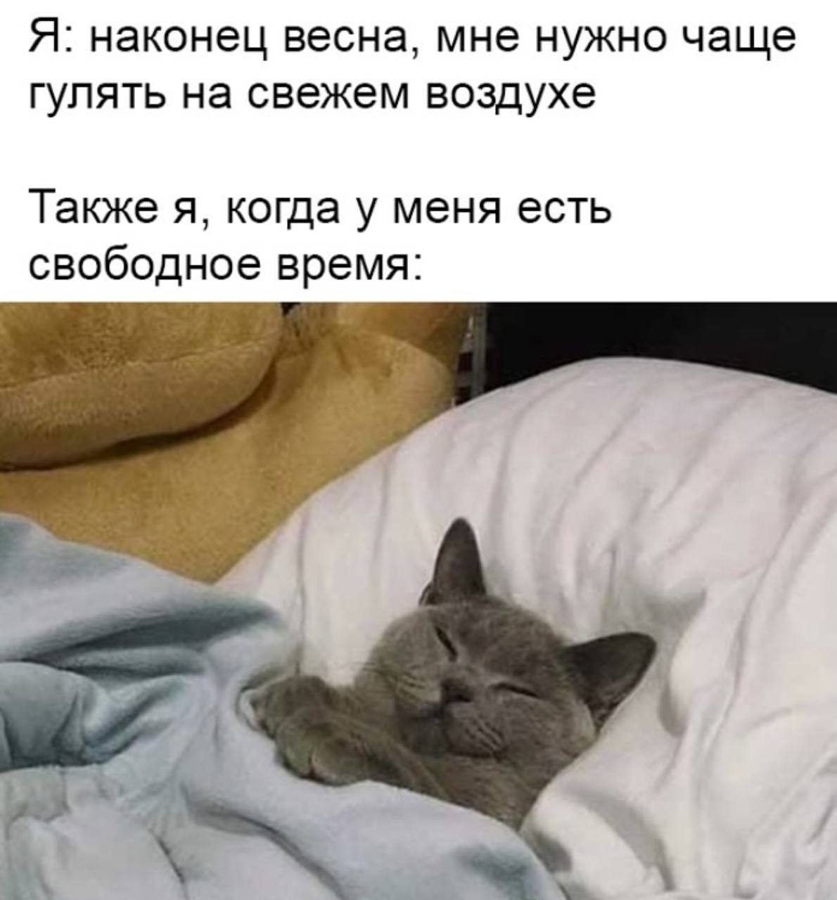 Я: наконец весна, мне нужно чаще гулять на свежем воздухе Также я, когда у меня есть свободное время: