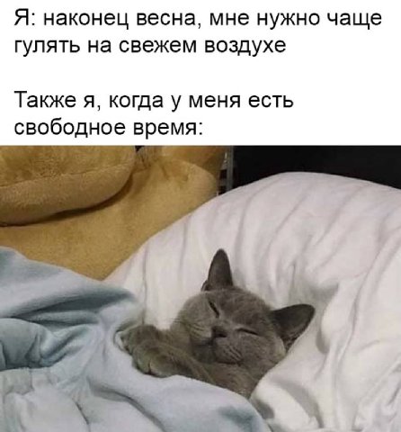 Я: наконец весна, мне нужно чаще гулять на свежем воздухе Также я, когда у меня есть свободное время: