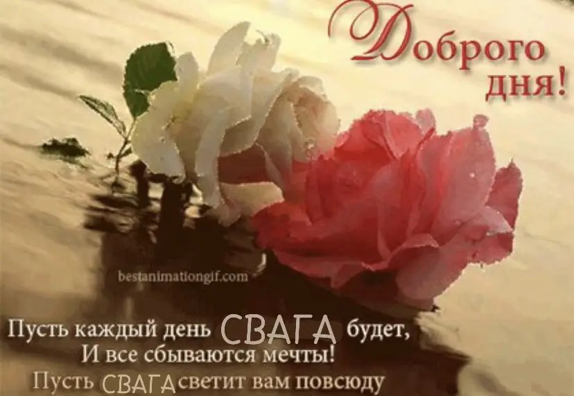 44) оброго 4 Пусть каждый день A будет, И все сбываются мечты! Пусть СВАГАсветит вам повсюду