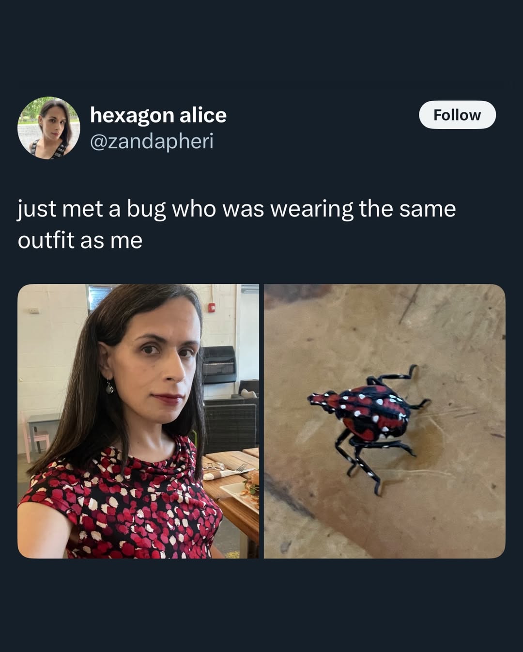 hexagon alice @zandapheri just met a bug who was wearing the same outfit as me a за 4