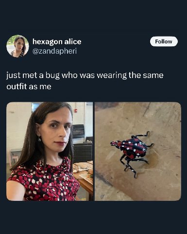 hexagon alice @zandapheri just met a bug who was wearing the same outfit as me a за 4
