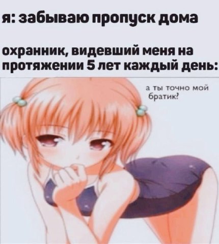 я: забываю пропуск дома охранник, видевший меня на протяжении 5 лет каждый день а ты точно мой братик?