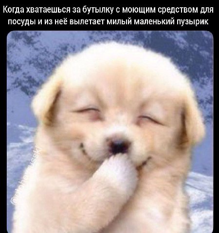 Когда хватаешься за бутылку с моющим средством для посуды и из неё вылетает милый маленький a
