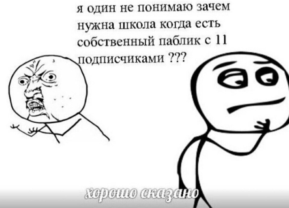 я один не понимаю зачем нужна школа когда есть собственный паблик с 11 подписчиками