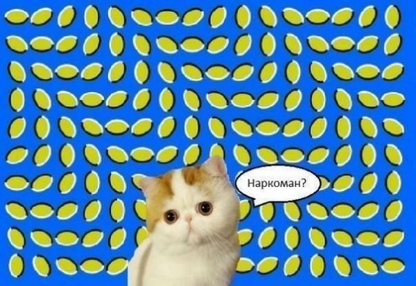 Наркоман?