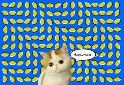 Наркоман?