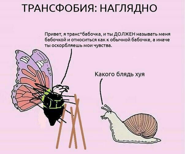 ТРАНСФОБИЯ: НАГЛЯДНО Привет, я транс*бабочка, иты ДОЛЖЕН называть меня бабочкой и относиться как к обычной бабочке, а иначе ты оскорбляешь мои чувства. IS) Какого блядь хуя у