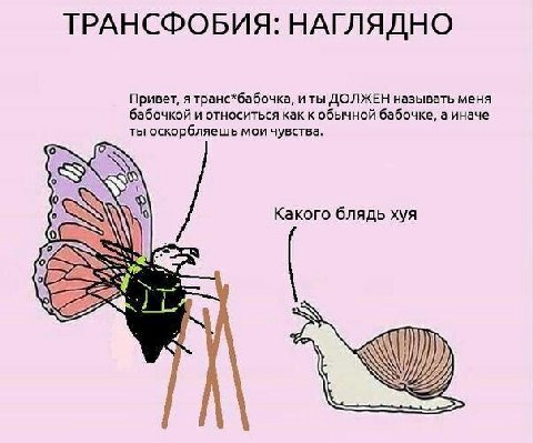 ТРАНСФОБИЯ: НАГЛЯДНО Привет, я транс*бабочка, иты ДОЛЖЕН называть меня бабочкой и относиться как к обычной бабочке, а иначе ты оскорбляешь мои чувства. IS) Какого блядь хуя у
