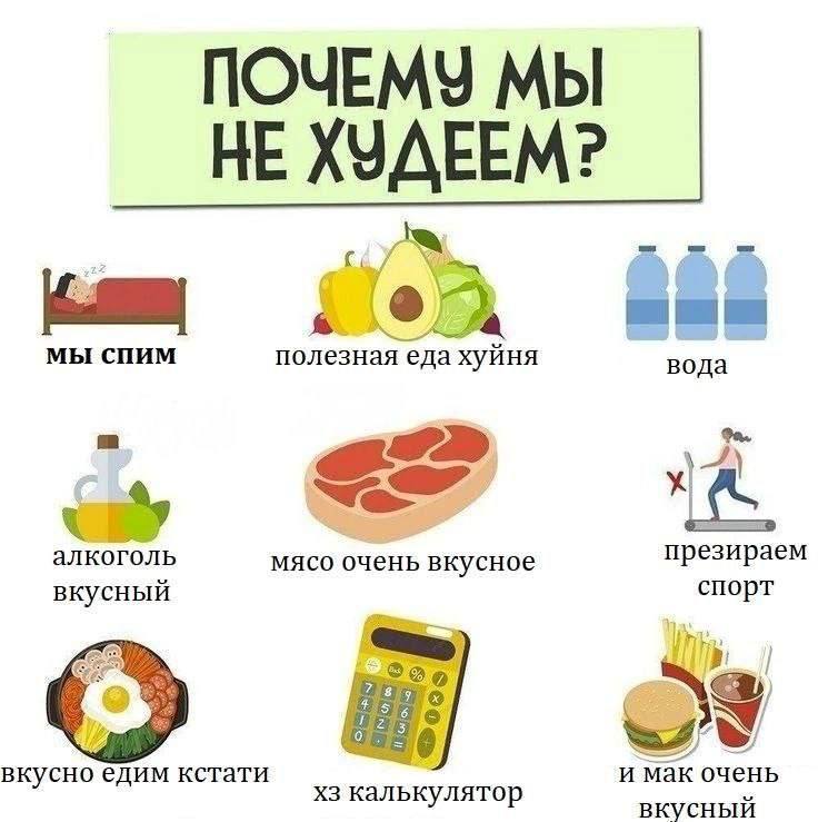 ПОЧЕМУ МЫ НЕ ХУДЕЕМ? МЫ СПИМ полезная еда хуйня вода алкоголь презираем мясо очень вкусное вкусный спорт кстати и мак очень калькулятор вкусный