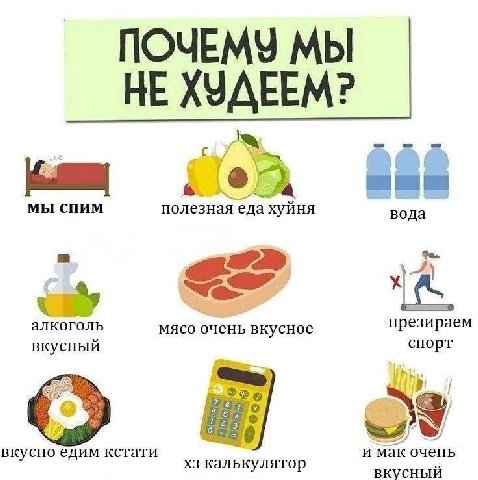 ПОЧЕМУ МЫ НЕ ХУДЕЕМ? МЫ СПИМ полезная еда хуйня вода алкоголь презираем мясо очень вкусное вкусный спорт кстати и мак очень калькулятор вкусный