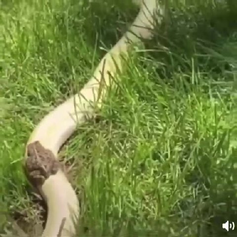 мем
