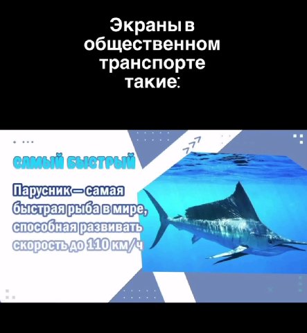 общественном транспорте ПОЗДРАВЛЯЕМ & УИЛЛИСА С 70-AE о \ Я ыы ELON В Ободзинской быстраярыбавмире; | способнаяразвиват! о RE р ‚растительное масло, специи.